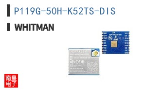 P119G-50H-K52TS-DIS ͼƬ